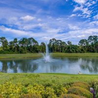 Many ponds